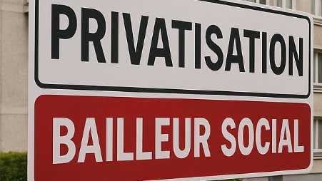 PRIVATISATION LMH